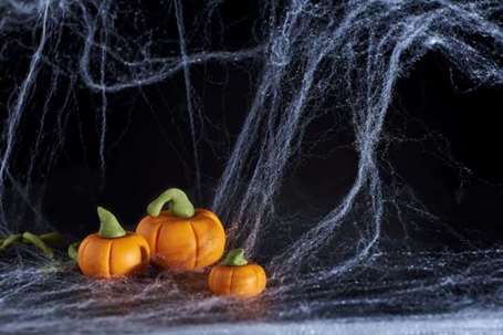 Mạng nhện vỉa hè halloween mạng nhện