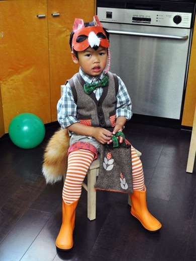 Mr. Fox Trang phục Halloween cho bé trai