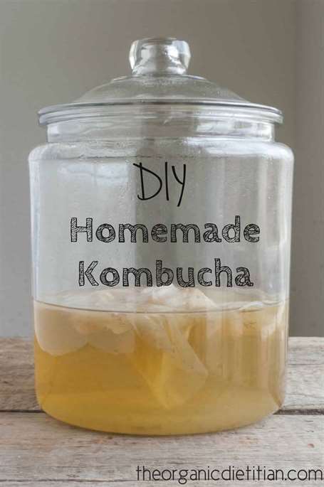 Kombucha nhà làm