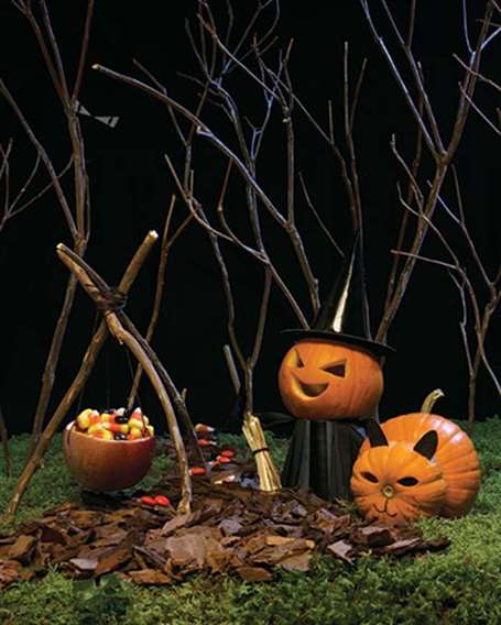 Halloween Witch Pumpkins