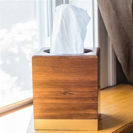 31 ngăn giữ kleenex nhuộm màu