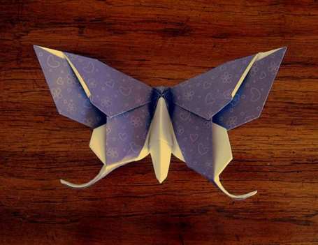 Bướm origami nâng cao