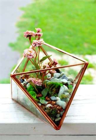 Terrarium thủy tinh hình học