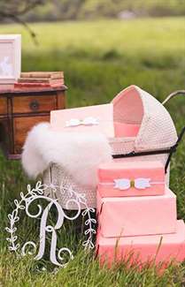 Rustic Pink Farm Baby Shower - Lấy cảm hứng từ cái này