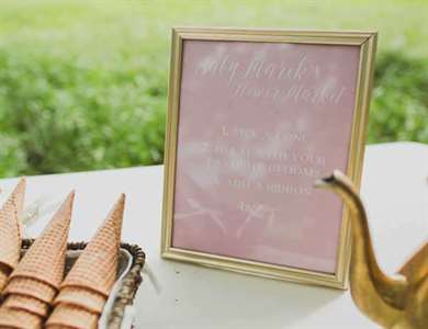 Rustic Pink Farm Baby Shower - Lấy cảm hứng từ cái này