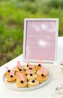 Rustic Pink Farm Baby Shower - Lấy cảm hứng từ cái này