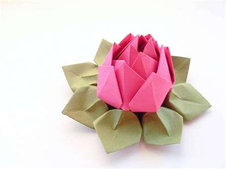 Origami hoa sen