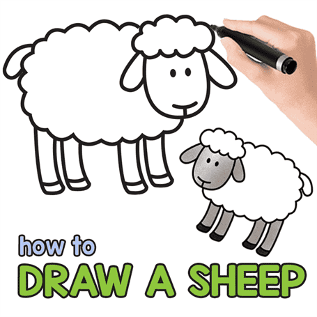 Hướng dẫn vẽ cừu