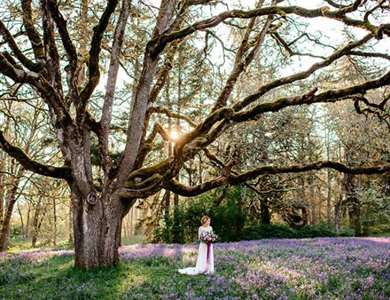 Lilac Flower Field Bridal Inspiration - Lấy cảm hứng từ điều này
