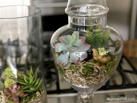 1642314293 582 Tu lam Terrariums mong nuoc nhan tao