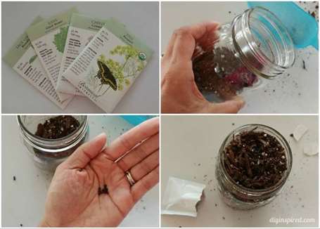 1642359136 207 Huong dan DIY Mason Jar Herb Garden