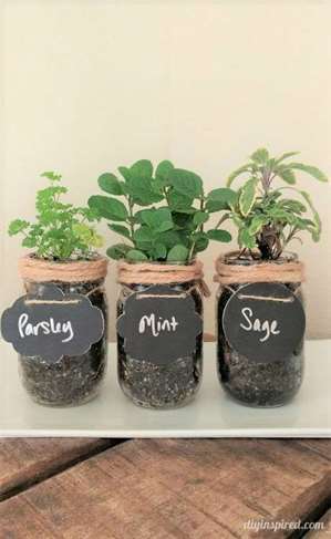 1642359137 902 Huong dan DIY Mason Jar Herb Garden