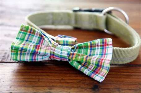 Vòng cổ chó bowtie sang trọng