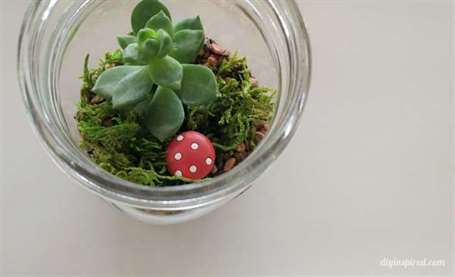 Làm thế nào để làm một bình Terrarium Mason