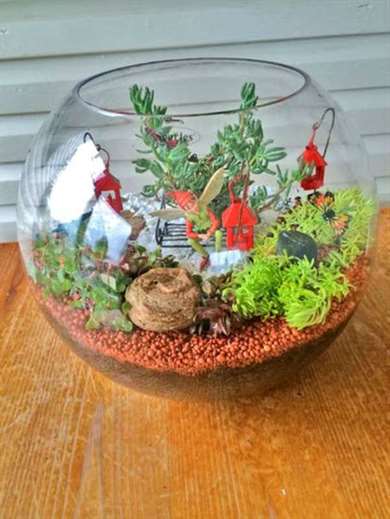 Miniature terrarium vườn cổ tích tự làm 2