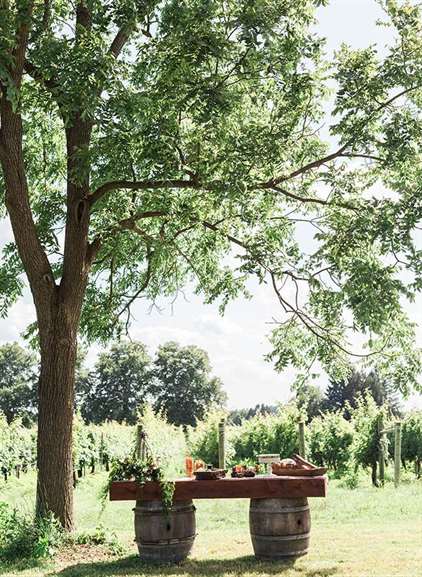 Burnt Orange & Berry Vineyard Wedding - Lấy cảm hứng từ điều này