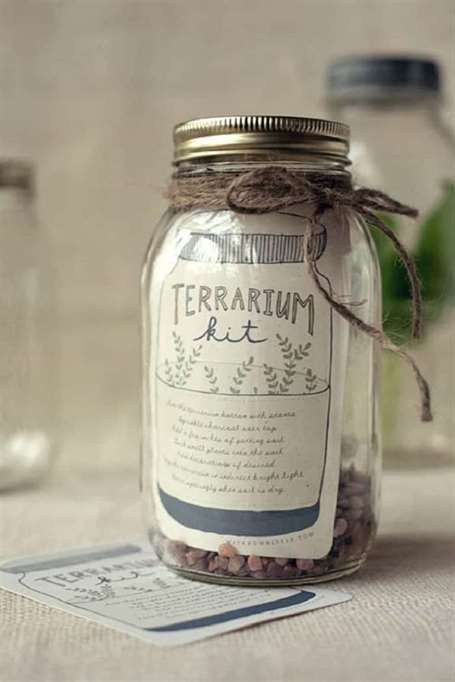 Terrarium kit tự làm