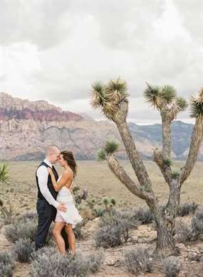 South Nevada Boho Elopement