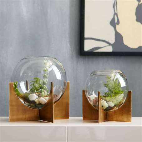 Terrarium hướng dẫn quà tặng ngày của mẹ