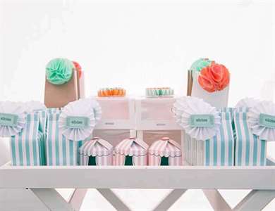 Vintage Peach and Mint Circus Party