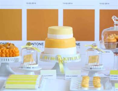 Tiệc sinh nhật Pantone