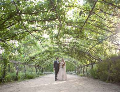 Màu má hồng lãng mạn Elopement