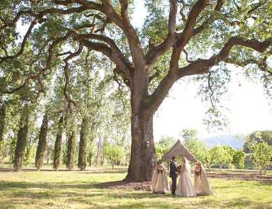 Màu má hồng lãng mạn Elopement