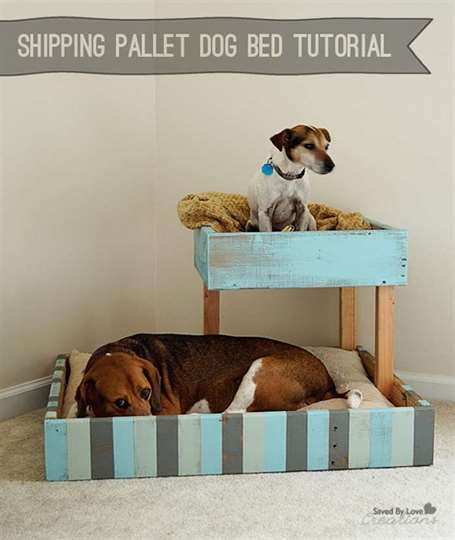 Vận chuyển giường pallet cho chó