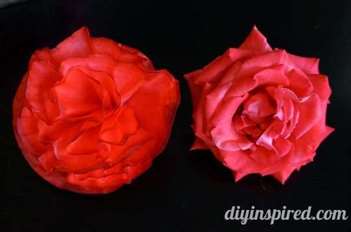 Hoa hồng lọc cà phê (2) (540x358)
