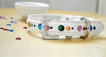 Bling ra cổ áo rhinestone