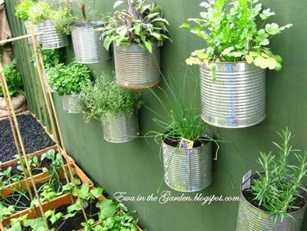 Diy herb garnden