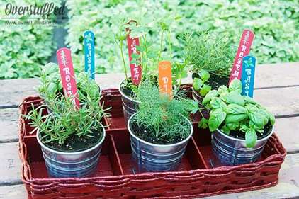 Diy patio herb garnde