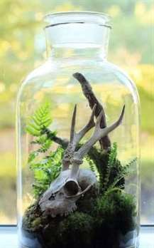 11 món quà tự làm terrarium