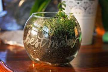 Terrarium khắc