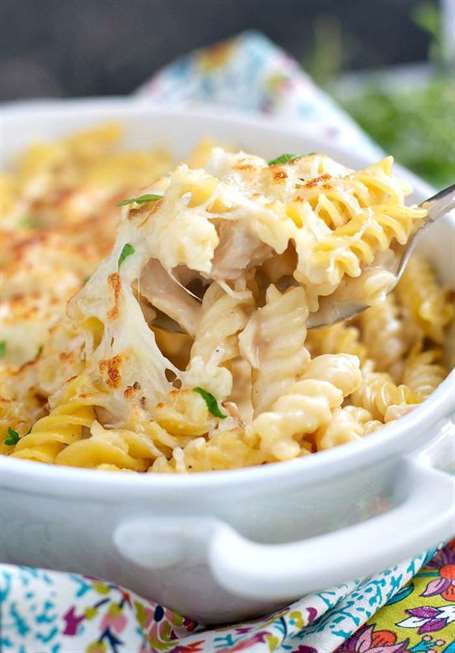 Đổ và nướng gà alfredo pasta 2