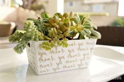 Succulent-Garden-Hostess-Gift