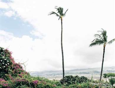 Pastel Four Seasons Maui Wedding - Lấy cảm hứng từ điều này