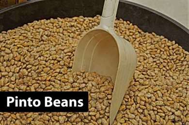 pinto beans.jpg