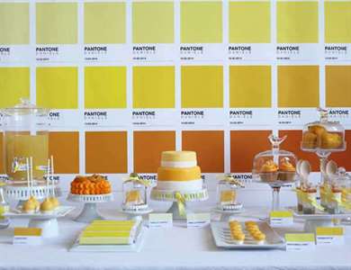 Tiệc sinh nhật Pantone