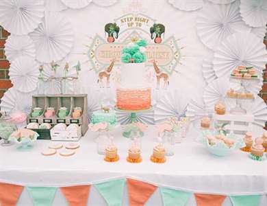 Vintage Peach and Mint Circus Party