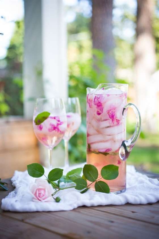 Hoa hồng dại cánh hoa sangria