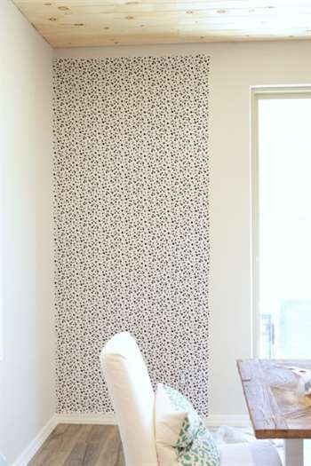 Dalamation Print Accent Wall DIY