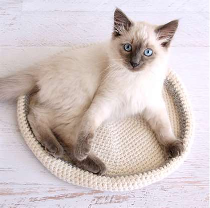 crochet cat bed.jpg