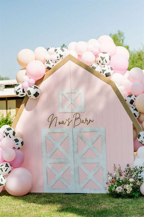 Phông nền Pink Barn từ Barnyard Bash của Nobita trên Ý tưởng Bữa tiệc của Kara |  KarasPartyIdeas.com