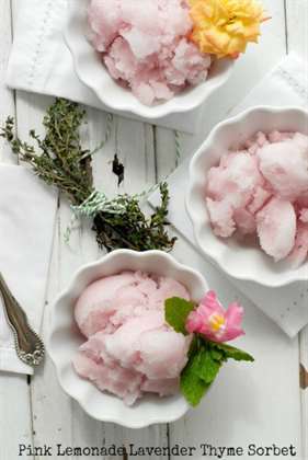 Nước chanh màu hồng oải hương cỏ xạ hương sorbet