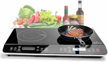 duxtop lcd portable double induction cooktop.jpg