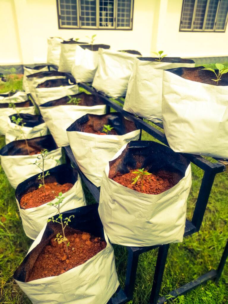 Grow bags with vegetable saplings in a vertical stand outside 