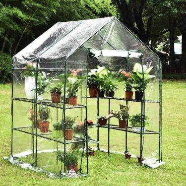 kingso mini greenhouse.jpg