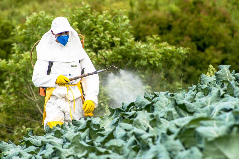 chemical herbicide