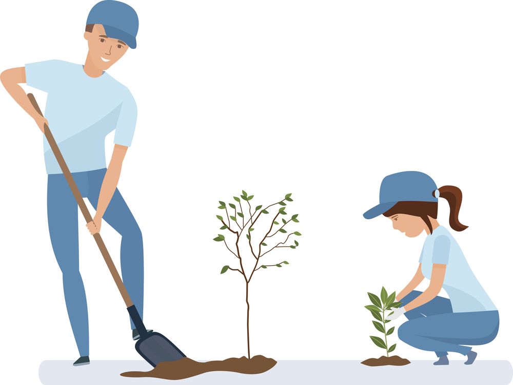 Hướng dẫn cách trồng cây